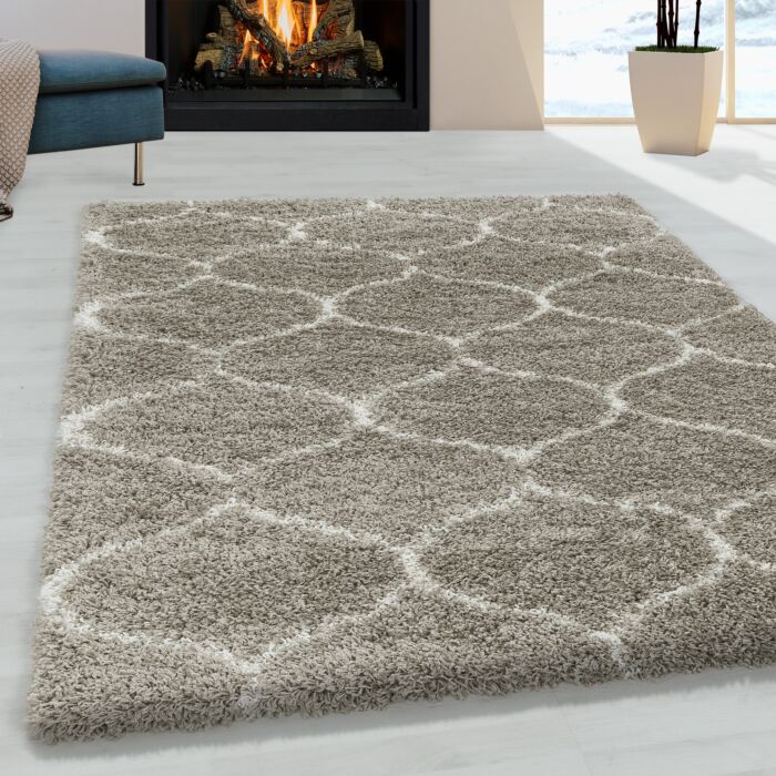 Salsa Shaggy teppich hochflor rechteckig 240x340cm beige