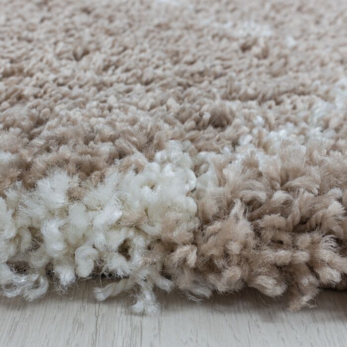 Salsa Shaggy teppich hochflor rechteckig 240x340cm beige