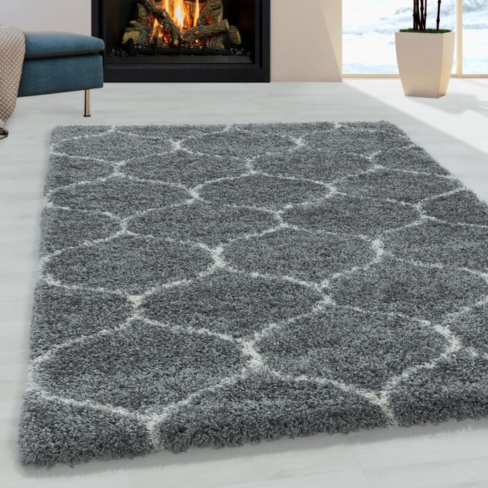 Salsa Shaggy teppich hochflor rechteckig 240x340cm grau