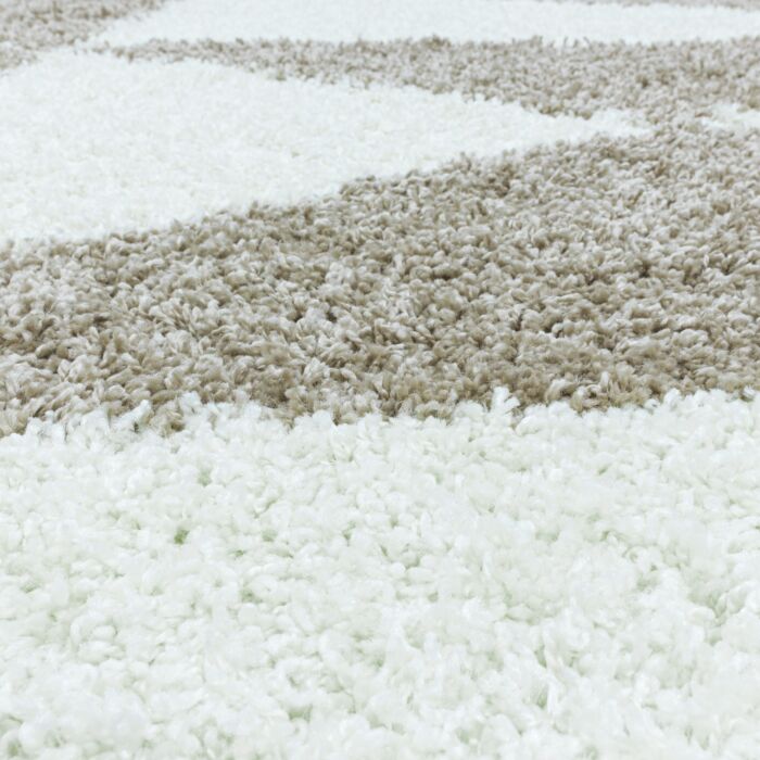 Tango Shaggy teppich hochflor rechteckig 240x340cm beige