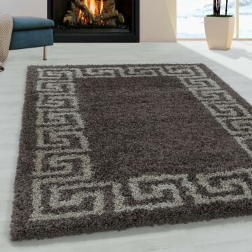 Hera Shaggy teppich hochflor rechteckig 240x340cm taupe