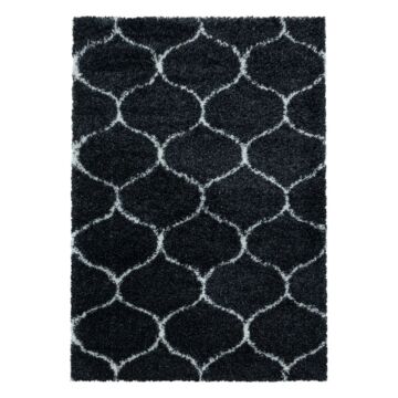 Salsa Shaggy teppich hochflor rechteckig 200x290cm anthrazit
