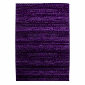 Plus teppich kurzflor rechteckig 240x340cm lila